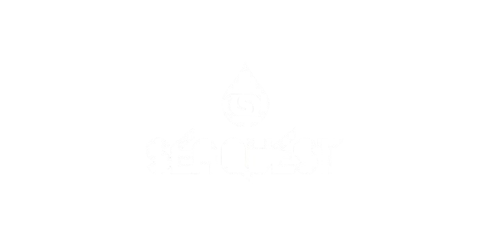 Seaquest-removebg-preview